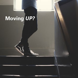 look at maturityTRIMglassesSQ